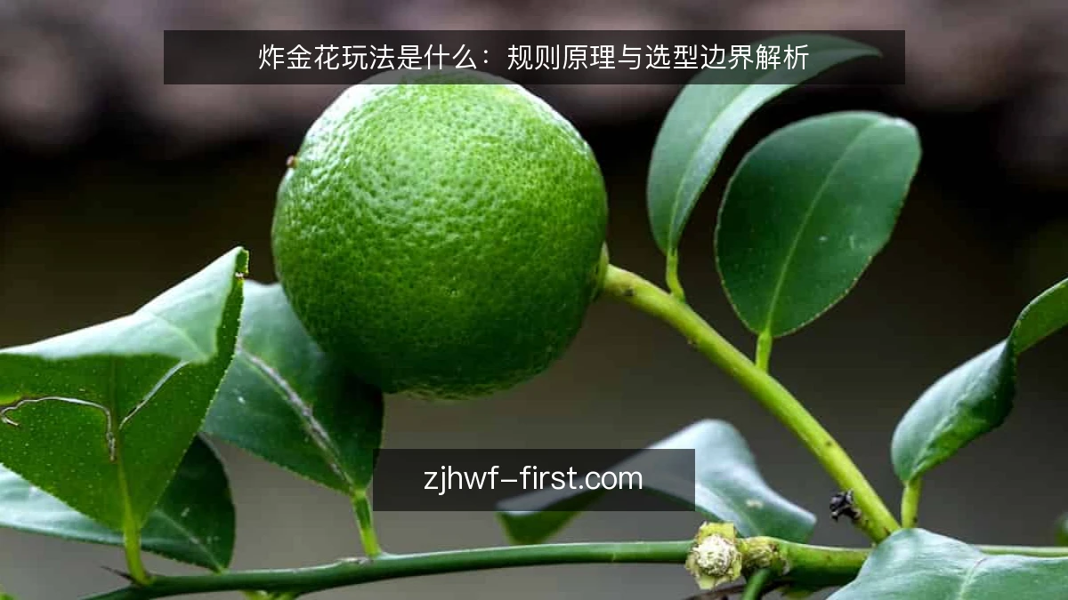 炸金花玩法是什么:规则原理与选型边界解析