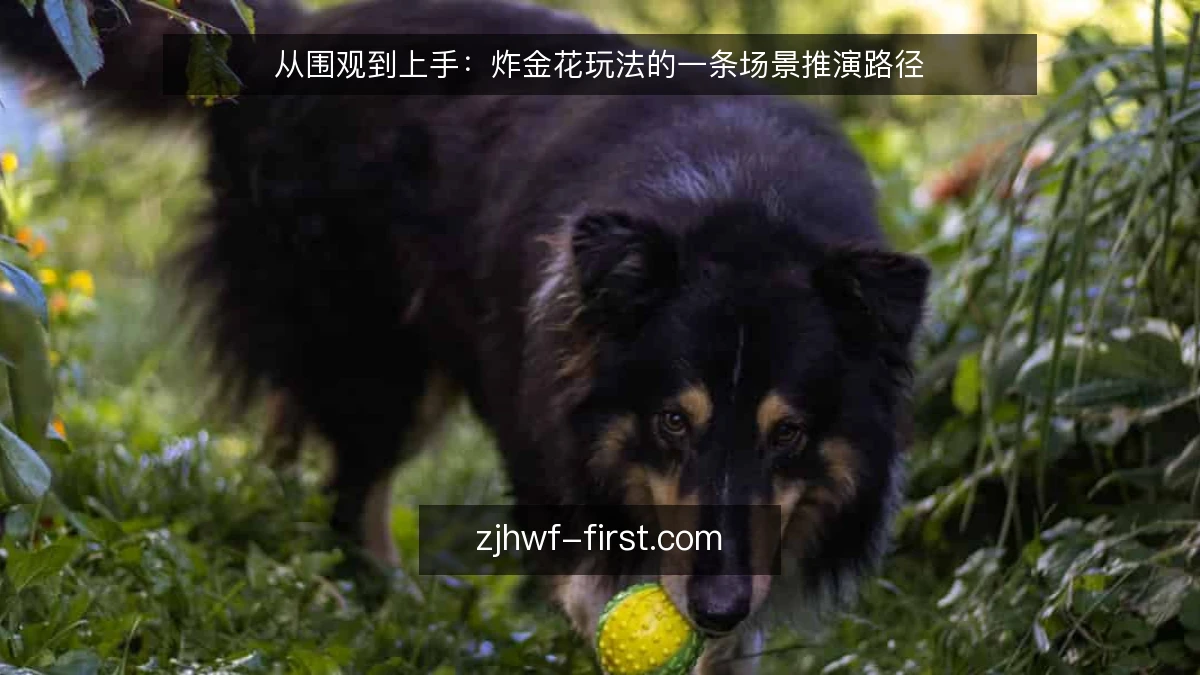 从围观到上手:炸金花玩法的一条场景推演路径