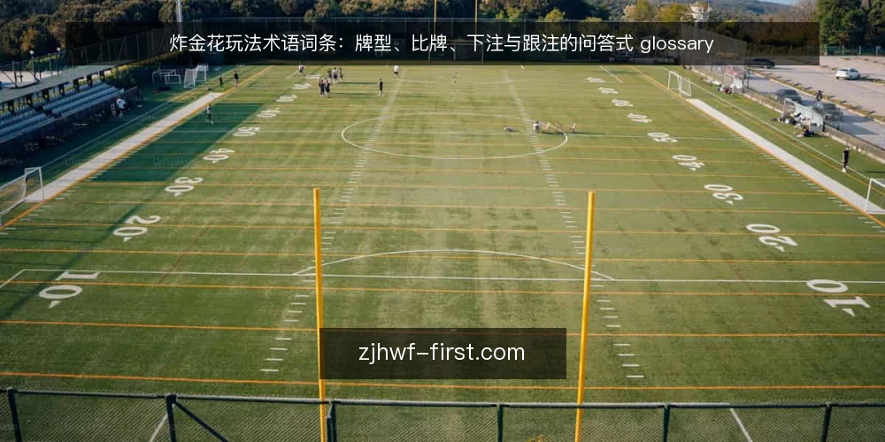 炸金花玩法术语词条:牌型、比牌、下注与跟注的问答式 glossary — 炸金花玩法中这些术语分别指什么 配图